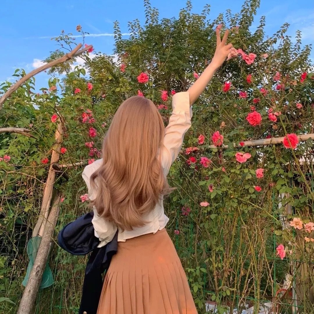 新燕子李三封面