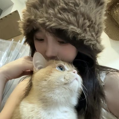 圣诞兔子封面