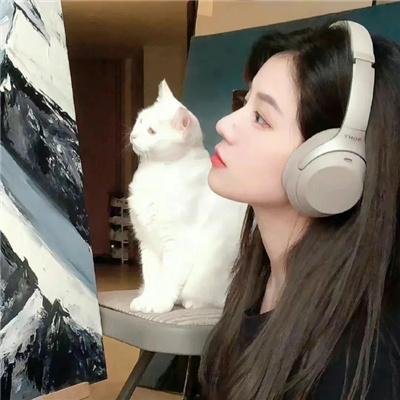 怪猫菲力兹封面